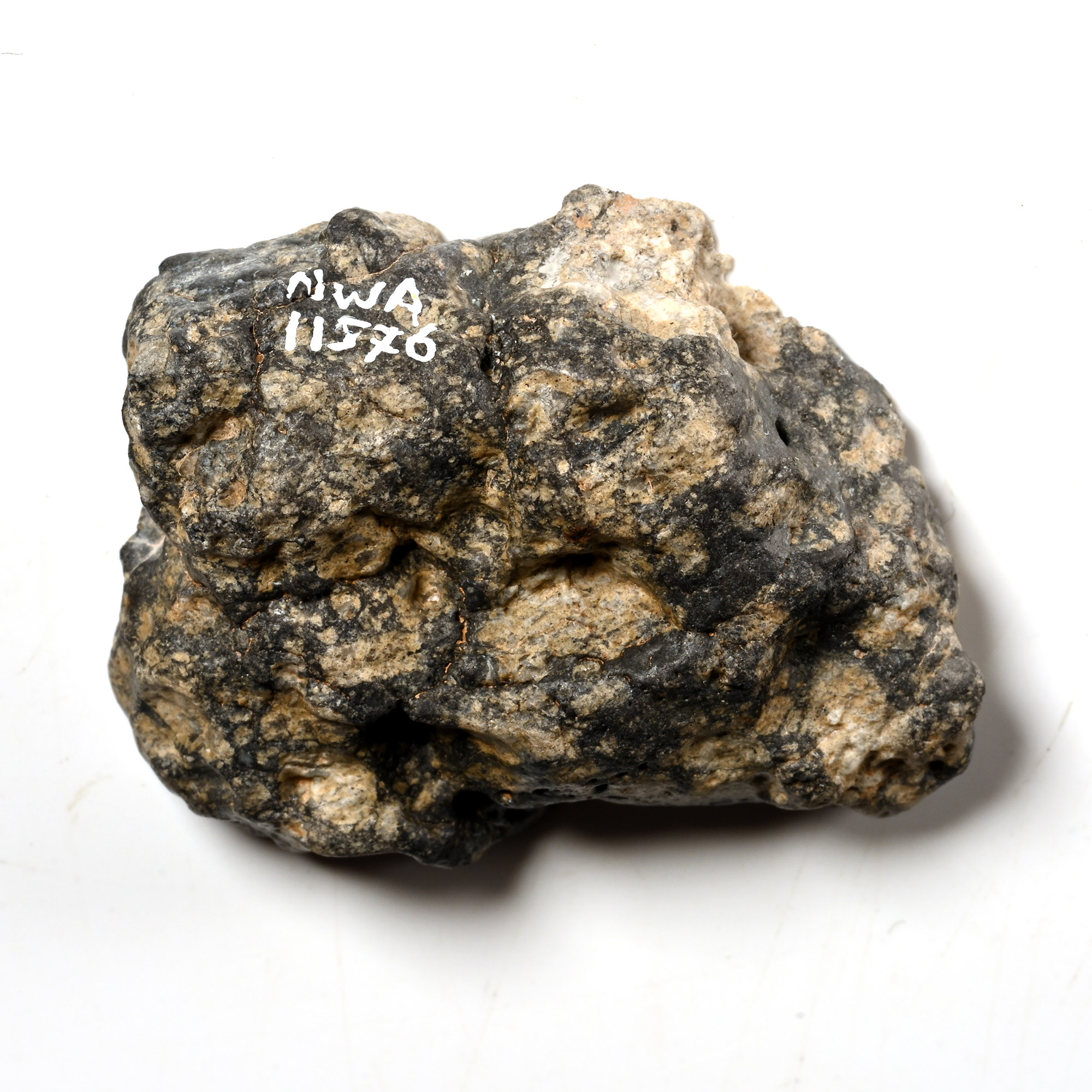Natural History - Eucrite-Melt Breccia NWA 11576 Meteorite Slice